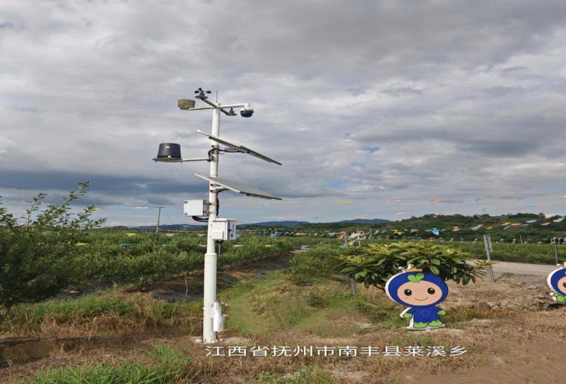 租赁十载  融实共赢 | 省金控租赁公司十周年宣传专栏（九）